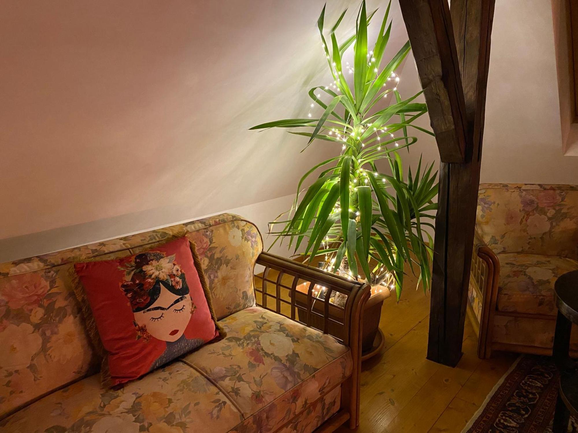 Rose'S Oldtown Apartment บราชอฟ ภายนอก รูปภาพ