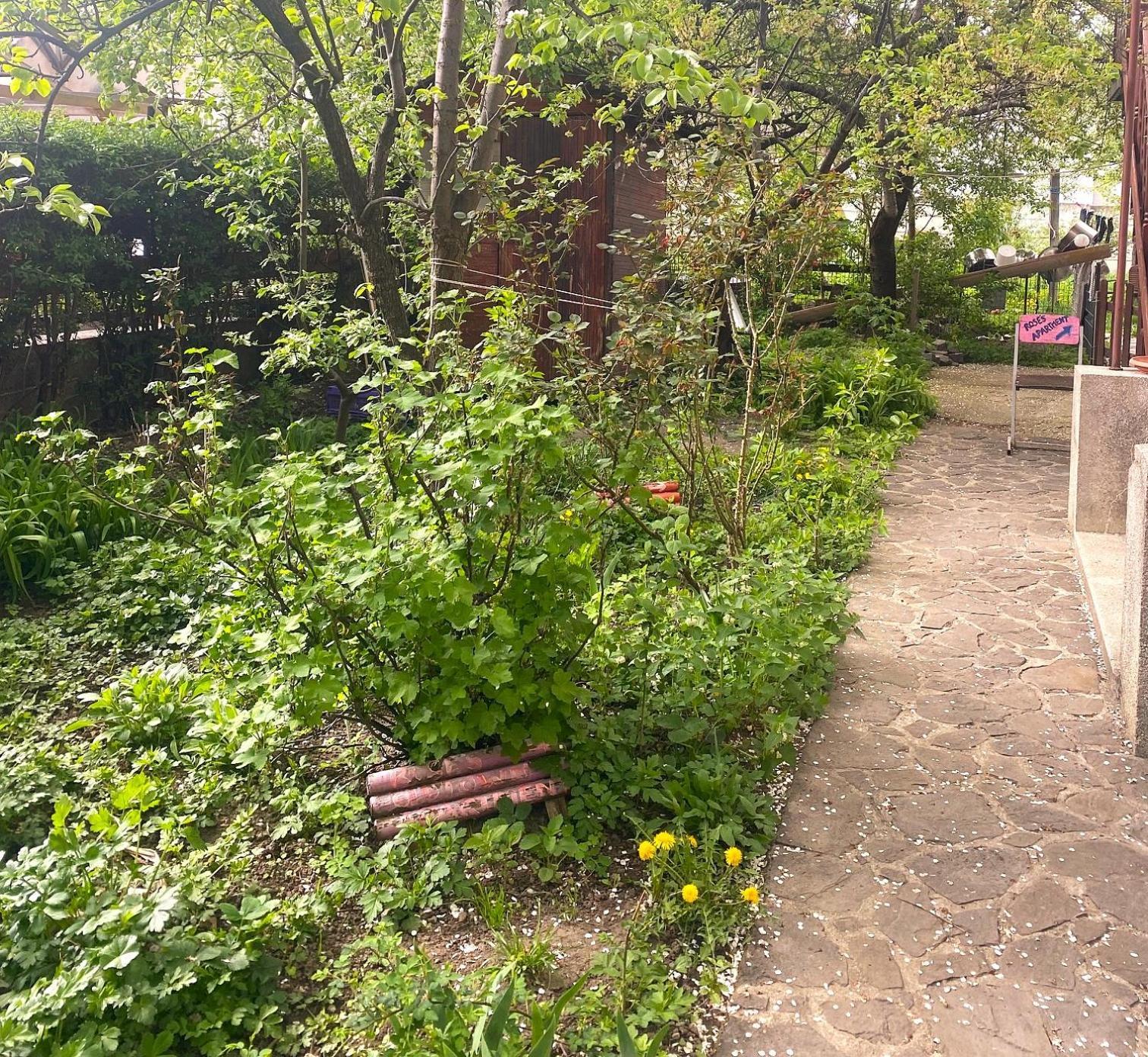 Rose'S Oldtown Apartment บราชอฟ ภายนอก รูปภาพ